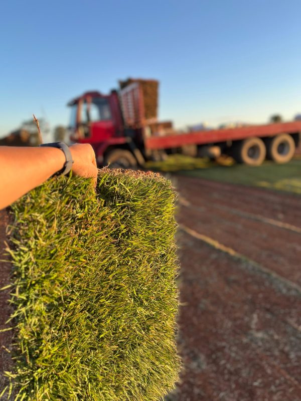 fa8b171c-940c-4397-b42a-2f47d475b1e3